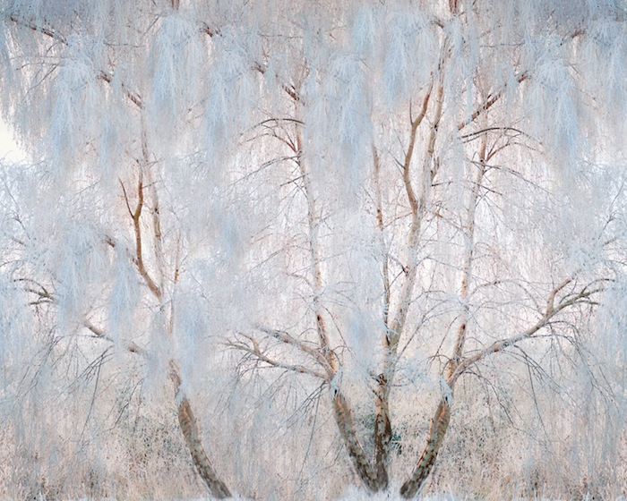 KATE CORDSEN, RAVINE 3