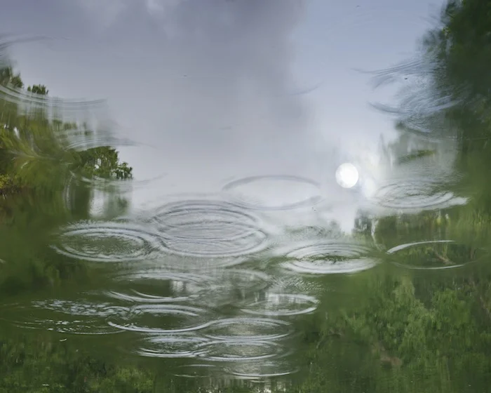 KATE CORDSEN, RAVINE 16