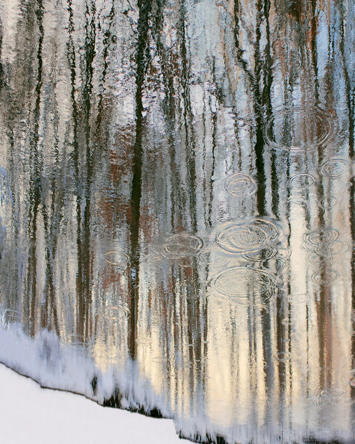 KATE CORDSEN, RAVINE 1