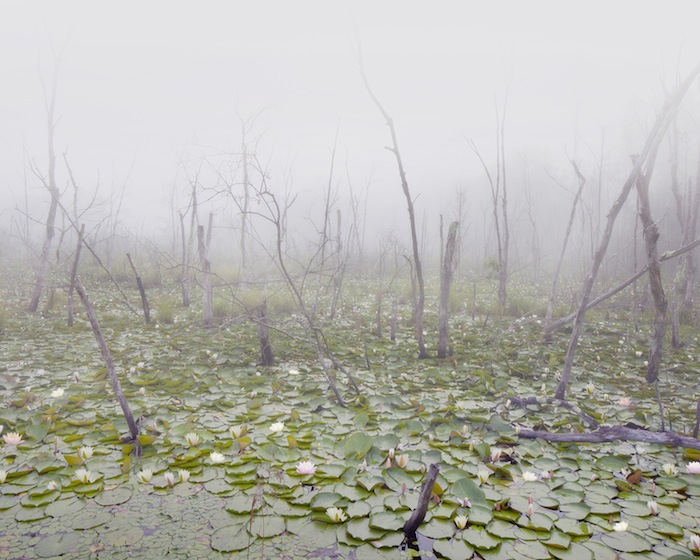 KATE CORDSEN, FOG 9