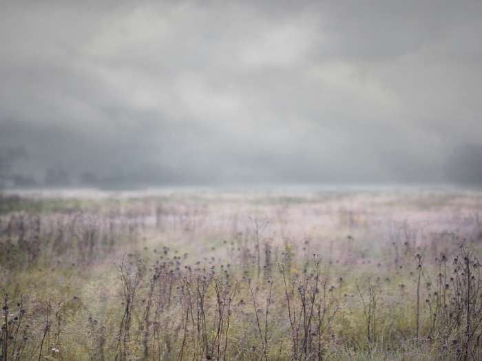 KATE CORDSEN, FOG 2