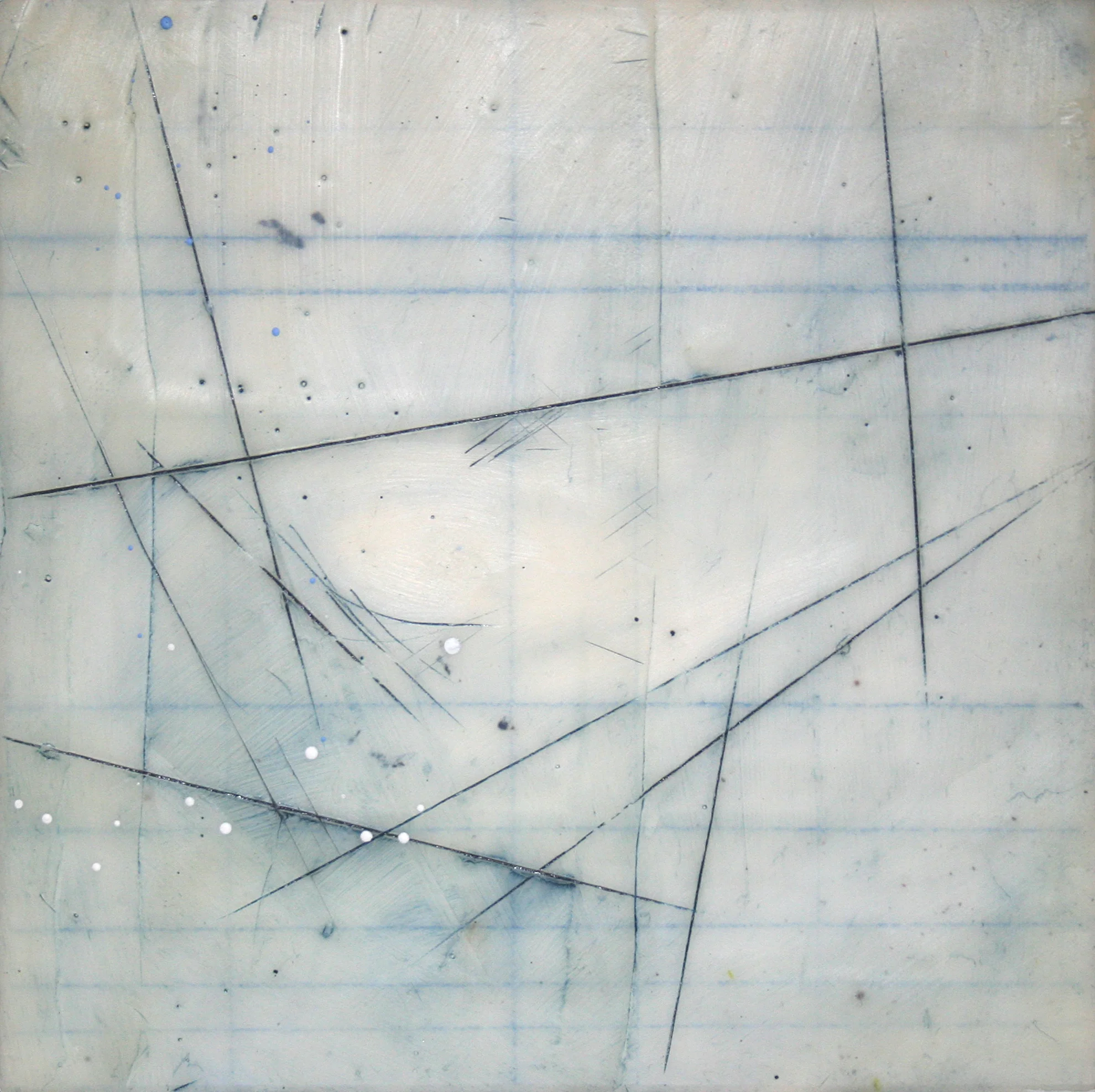Nest 06