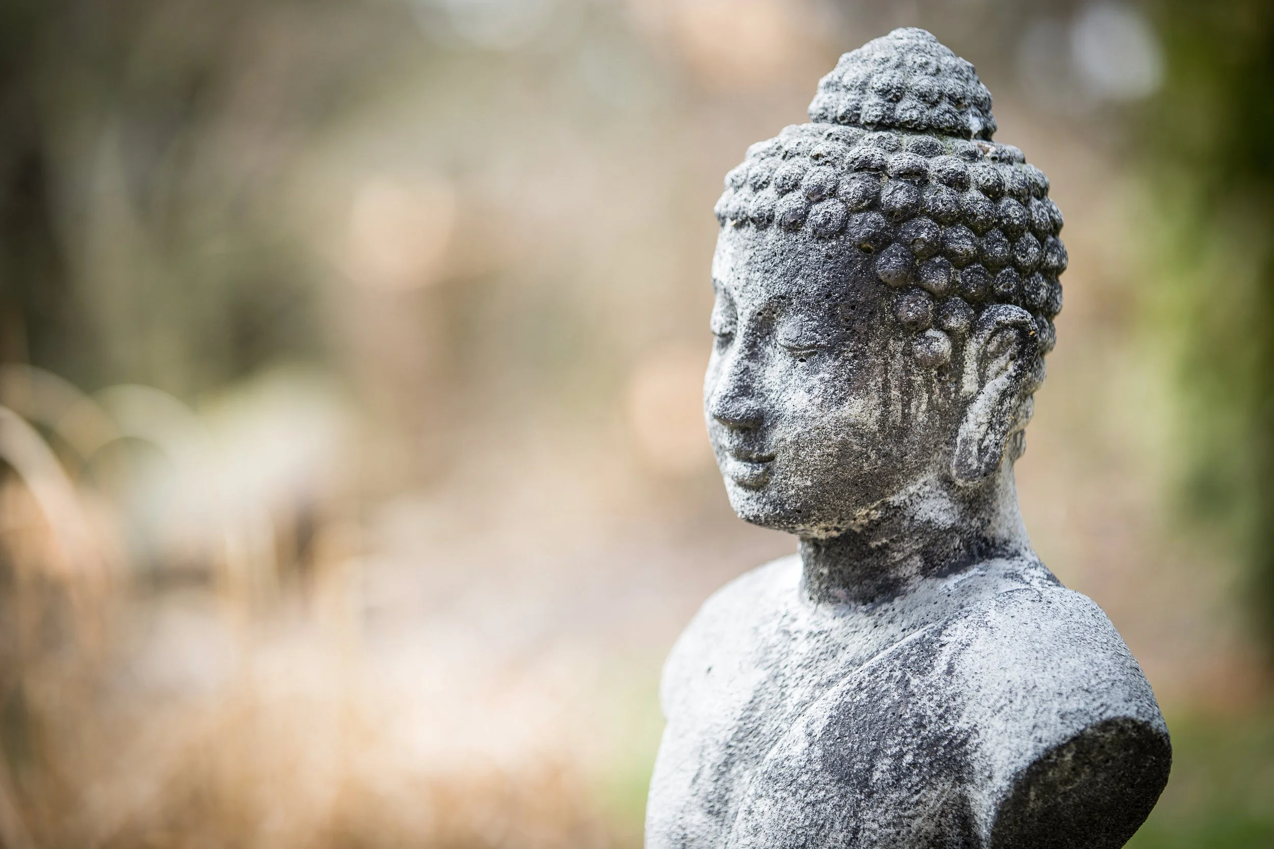 To Find Contentment, Take Action