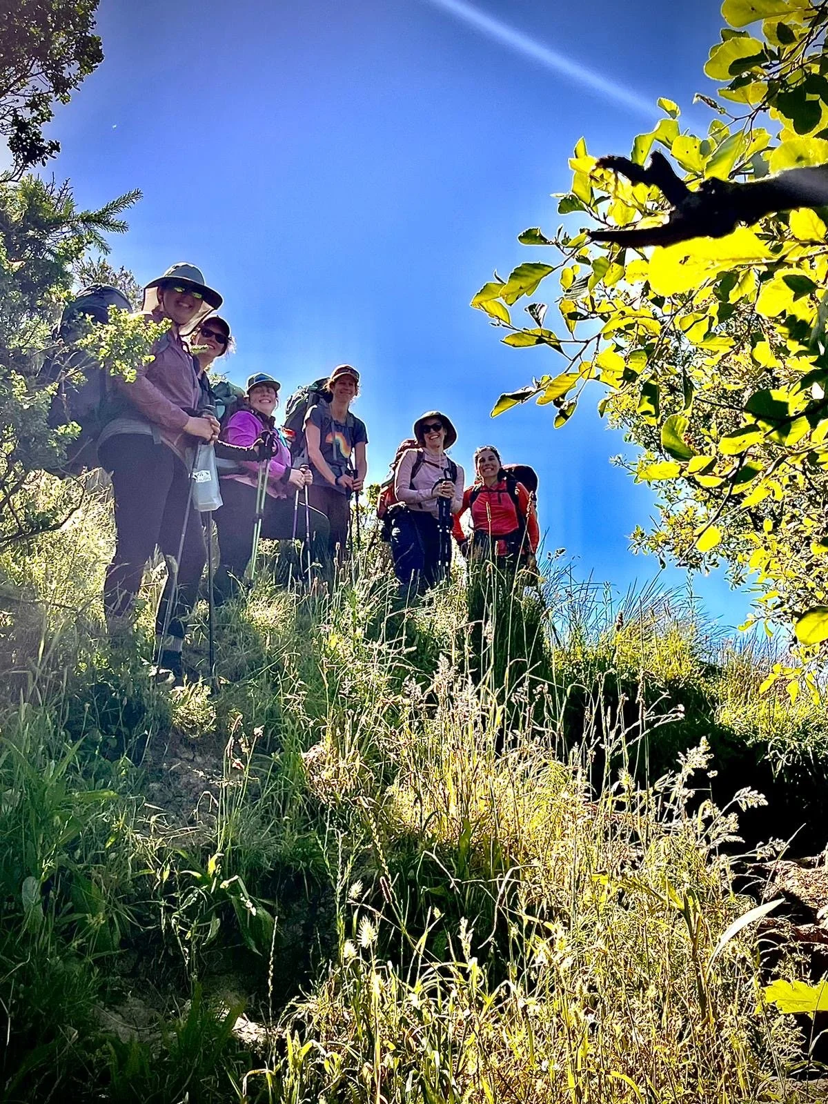 Nature-Based Therapy