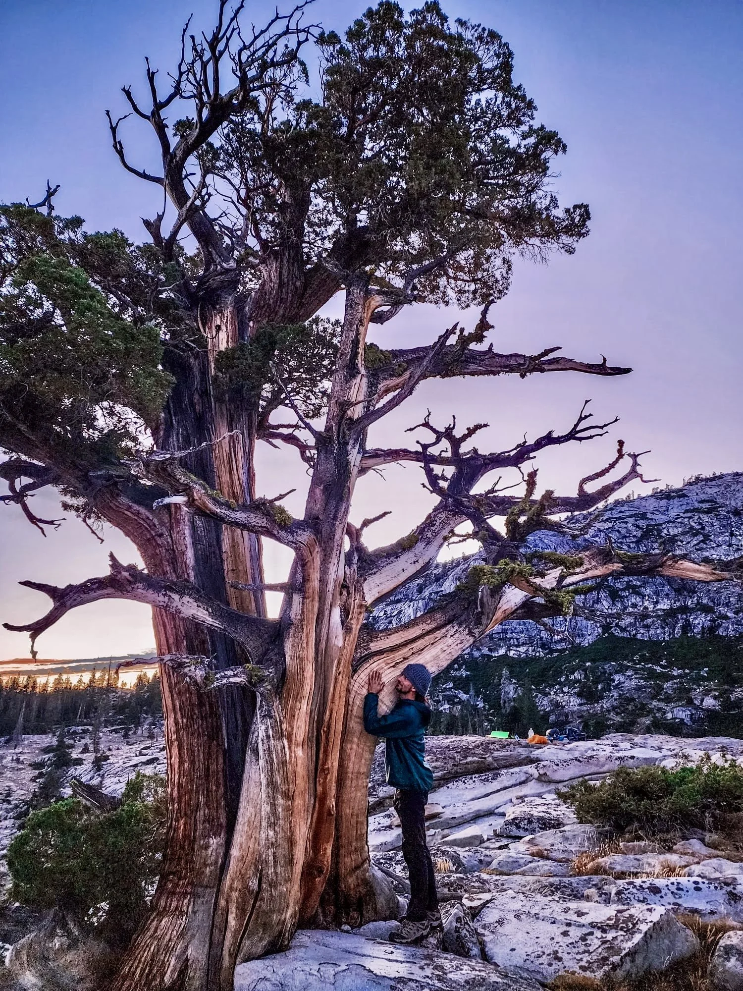 Wild Within: A Backpacking Journey Back to Self Under the Sierra Stars 