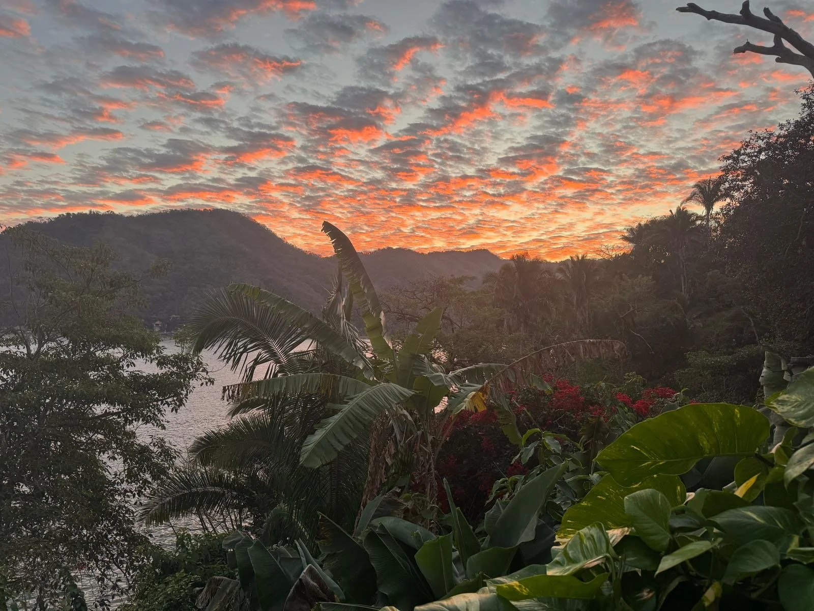Sunset.JPG