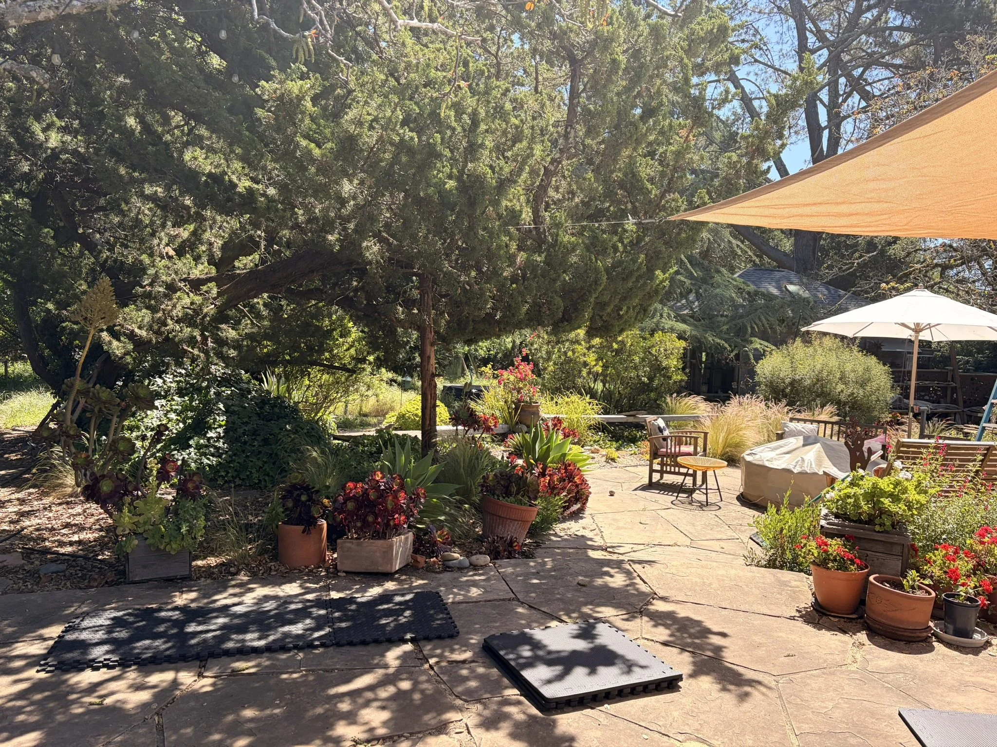 Hatha Yoga in Nature: All Levels 