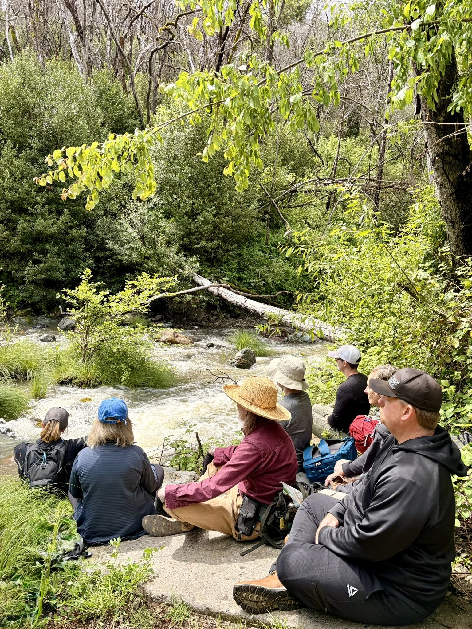 The Gifts of Ecotherapy and Simple Ways to Begin