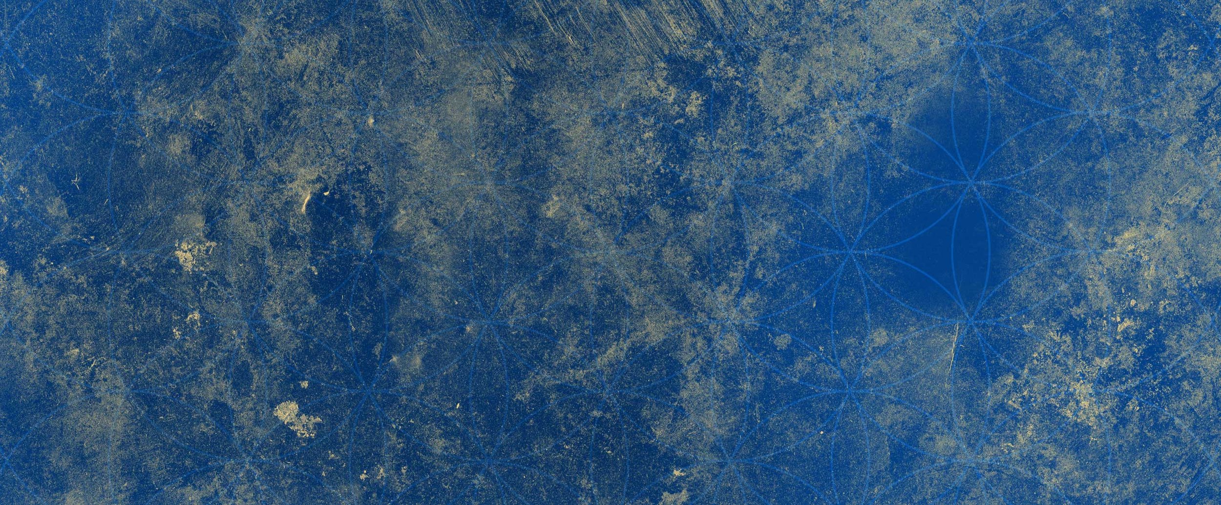 blue_header.jpg