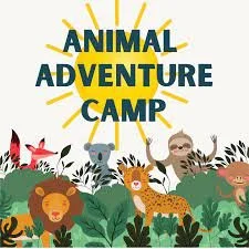 SUMMER CAMP 