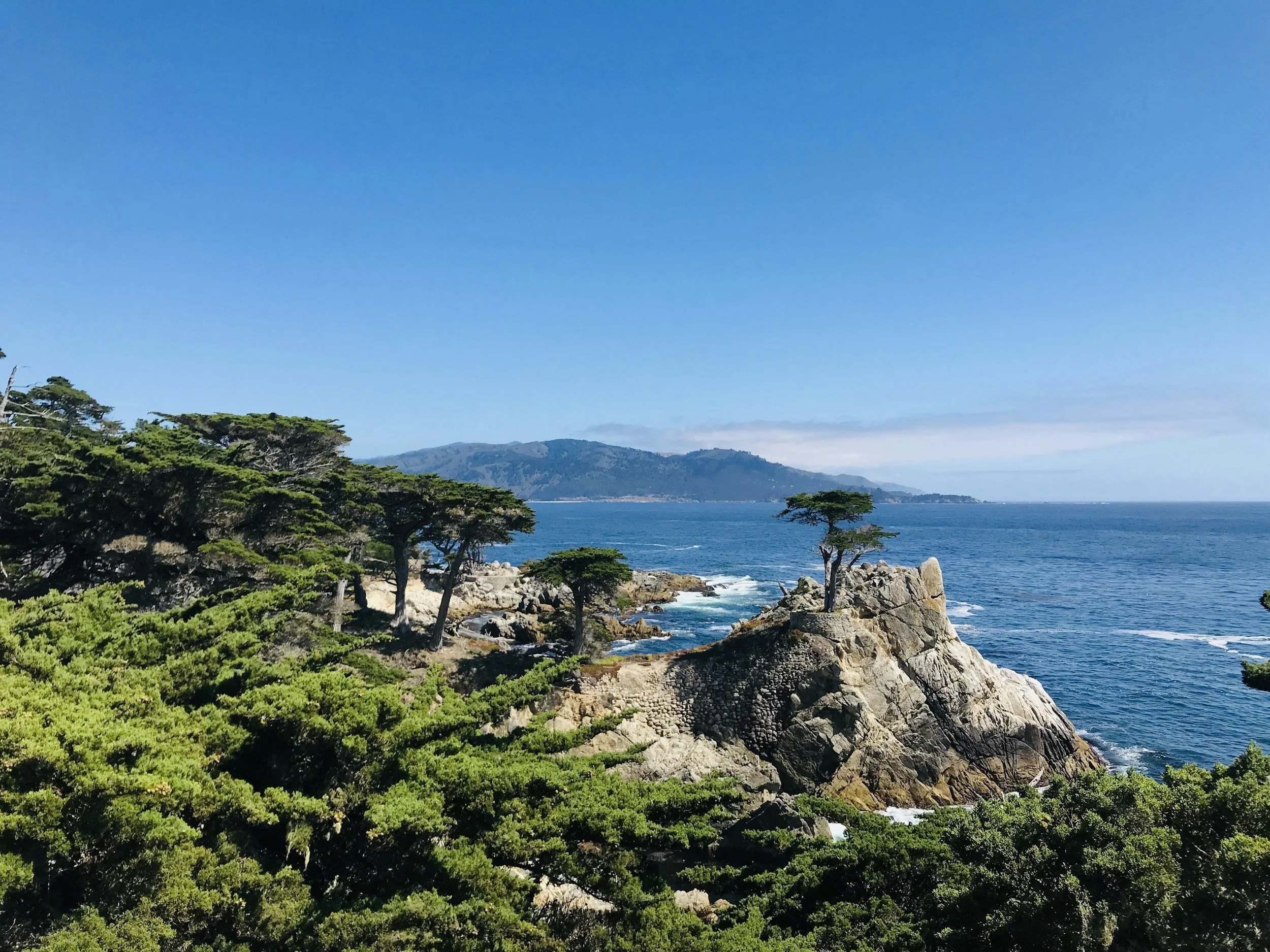 unsplash-image-YZYpJICGego.jpg