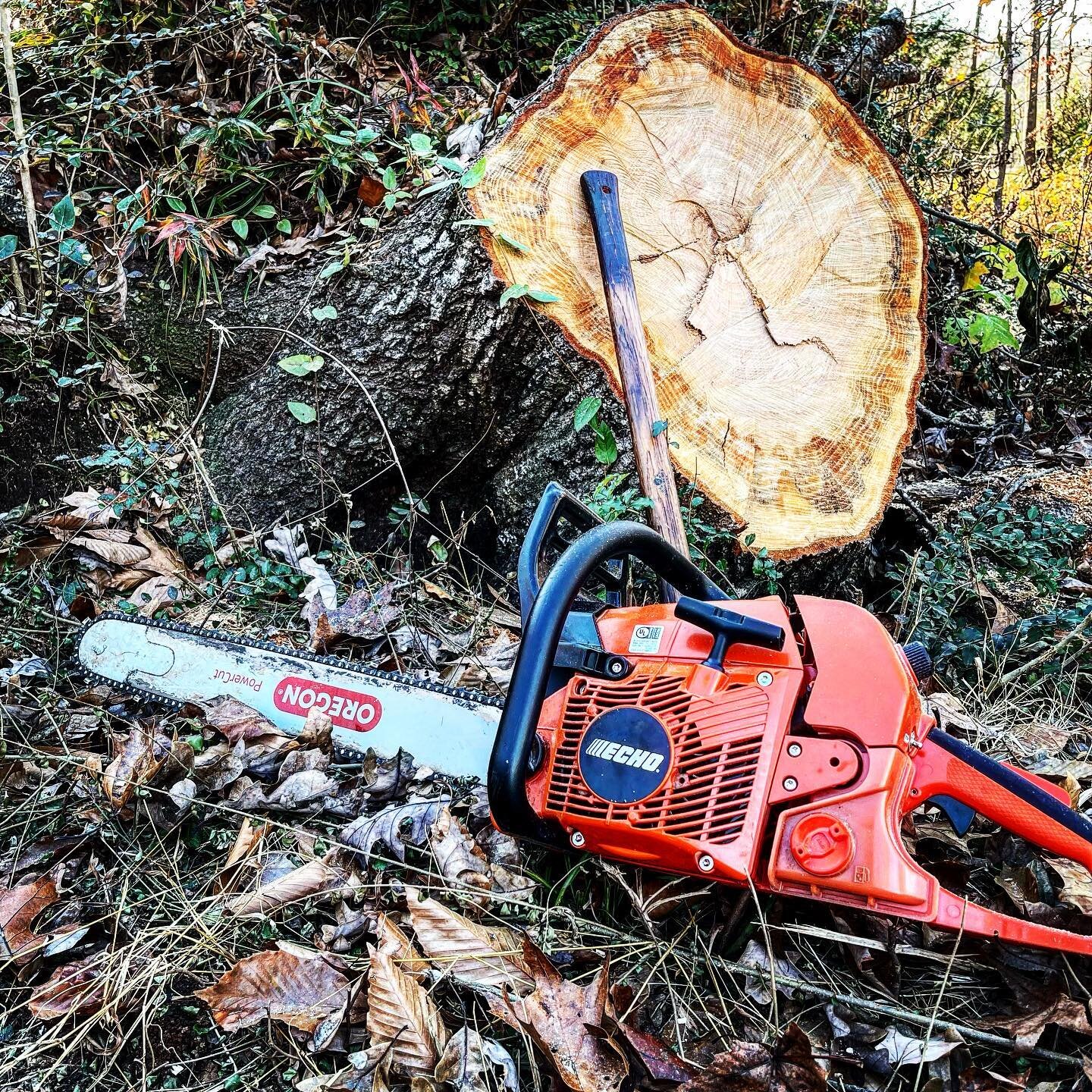 Which came first? The wood addiction or the axe addiction? Perfect weather for some good old fashioned hard work! What say you? Are you a user or collector?