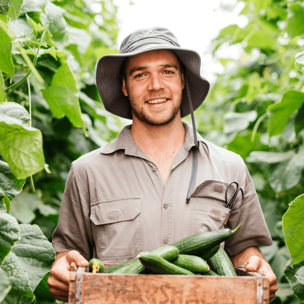 Farming_Brent.png
