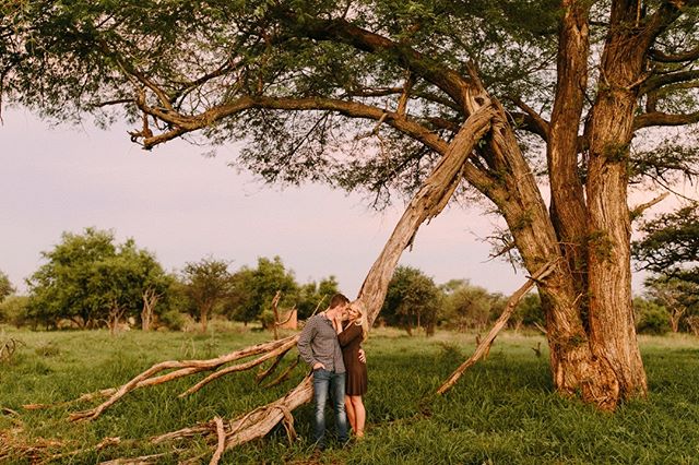 A lifetime, a lovetime. 💞⠀
.⠀
Image by @juliawinkler⠀
~~~⠀
#lunikhygamefarm #bush #southafrica #wedding #weddinginspo #weddingphotography #couple #engaged #engagementshoot #coupleshoot #weddinglocation #nature #trees #bush #bushveld #weddinginspo #w