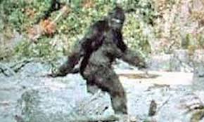 EATEN BY A SASQUATCH