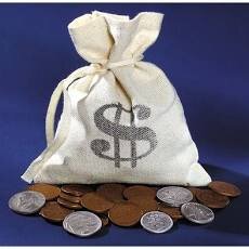 VALUING OUR RARE COINS