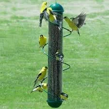 GOD AND GOLDFINCHES