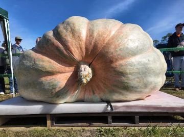 GROWING A GIANT