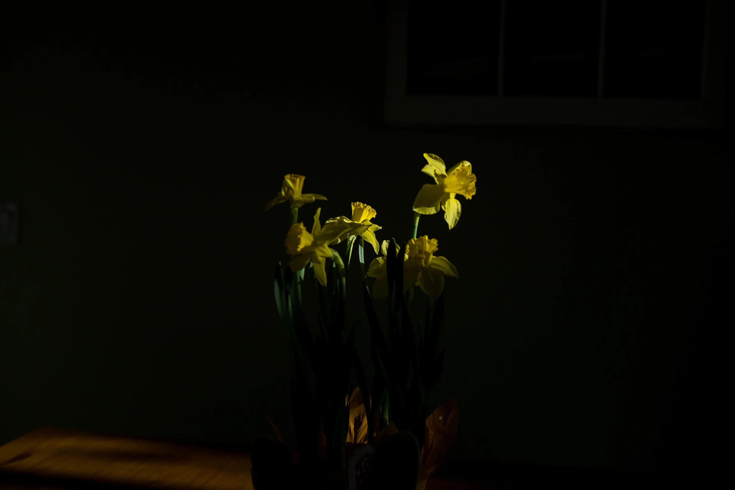 T1S_8497.jpg