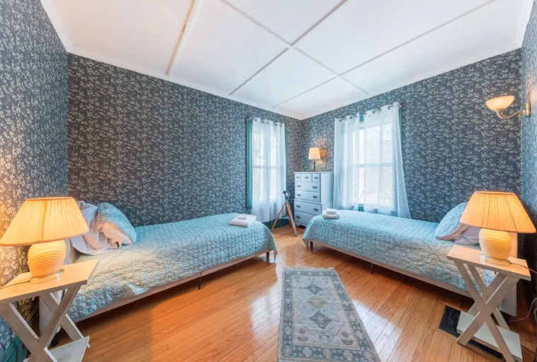twin bedroom.png