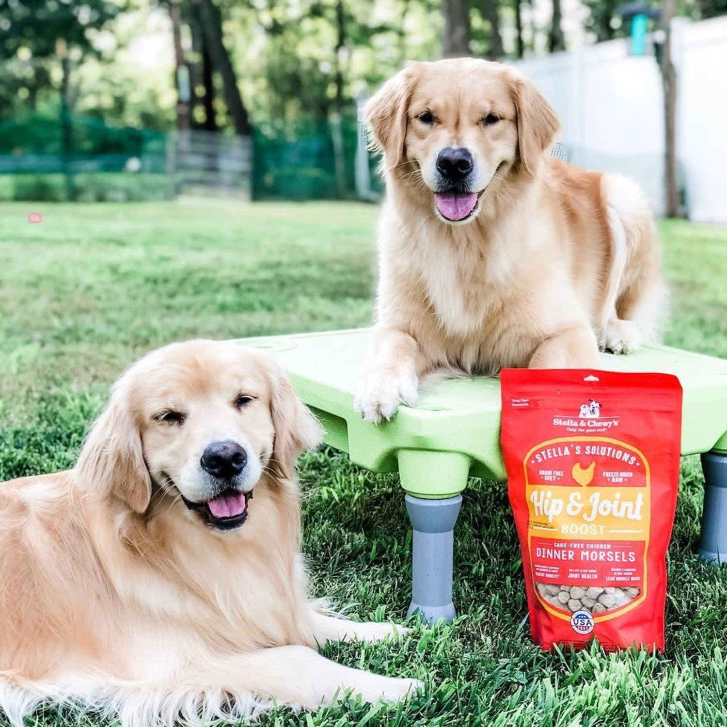 stella-and-chewys-stella-chewys-stellas-solutions.jpg