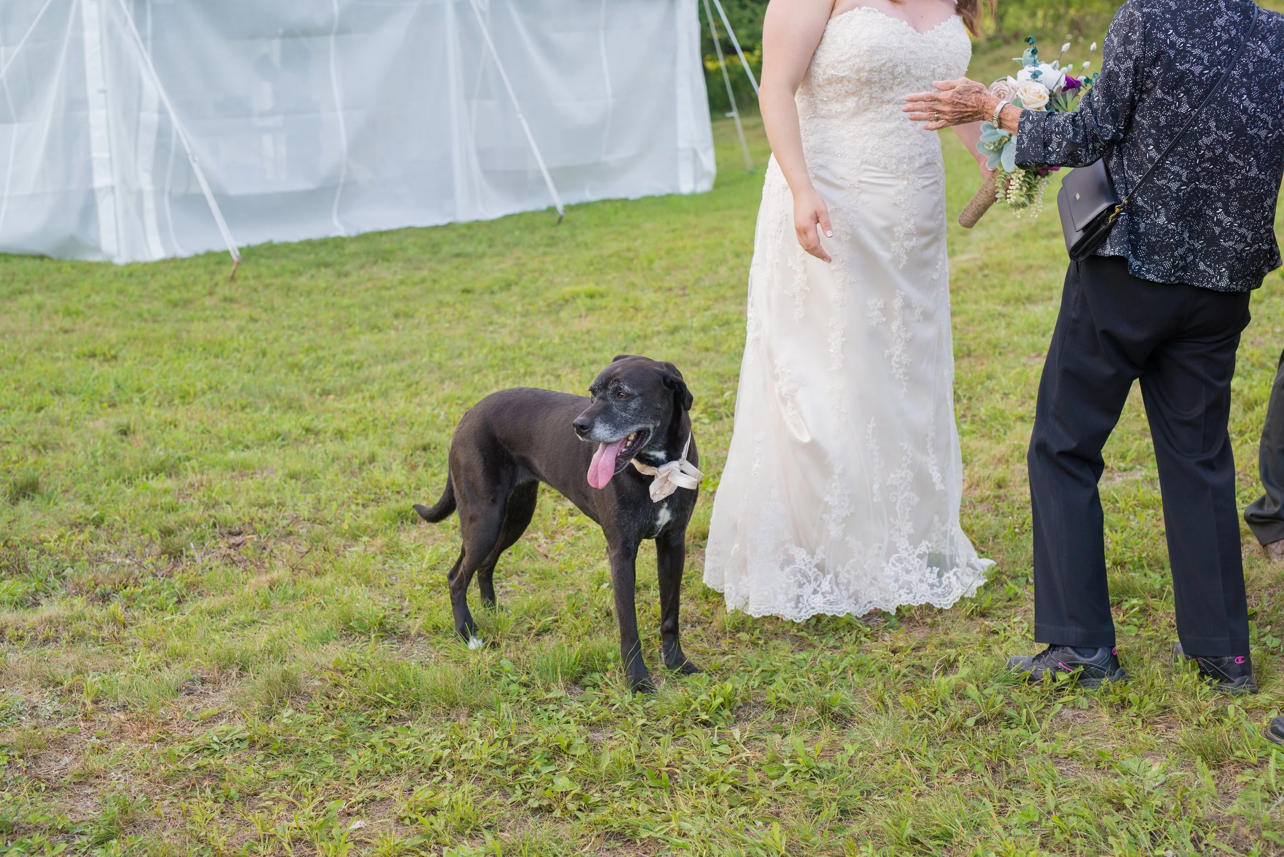 Stephanie+Andrew_Reception-29.jpg