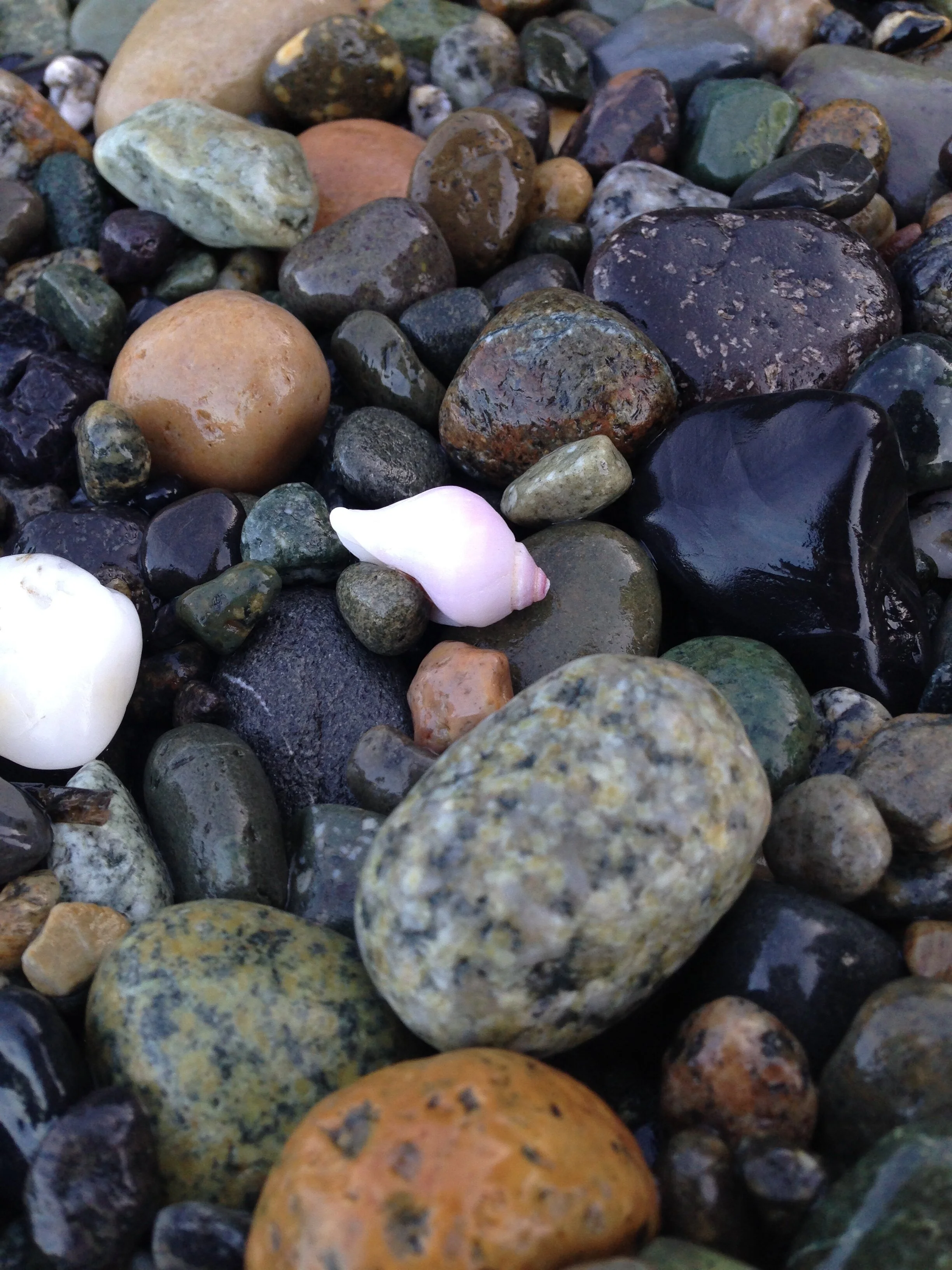 Welcome to Trygg Consulting! 