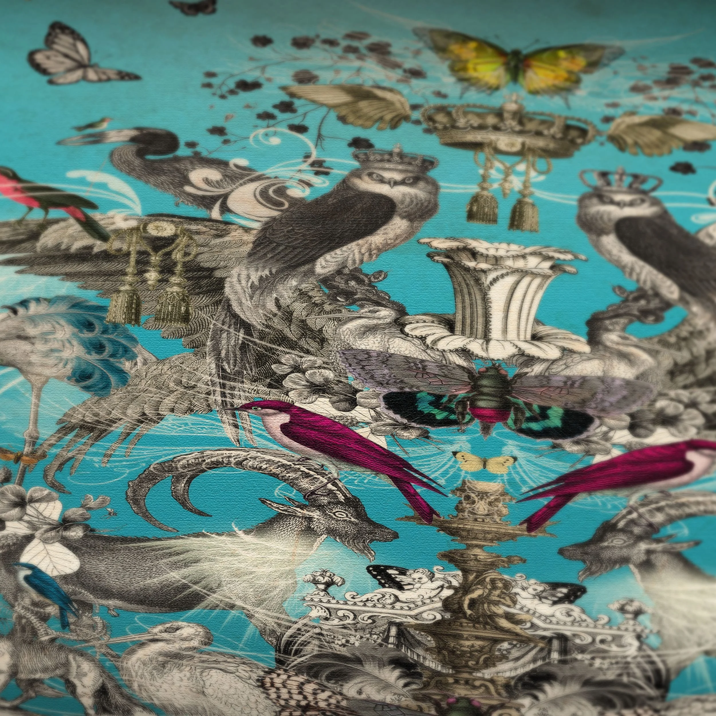 Amelia’s Magnificent Dream