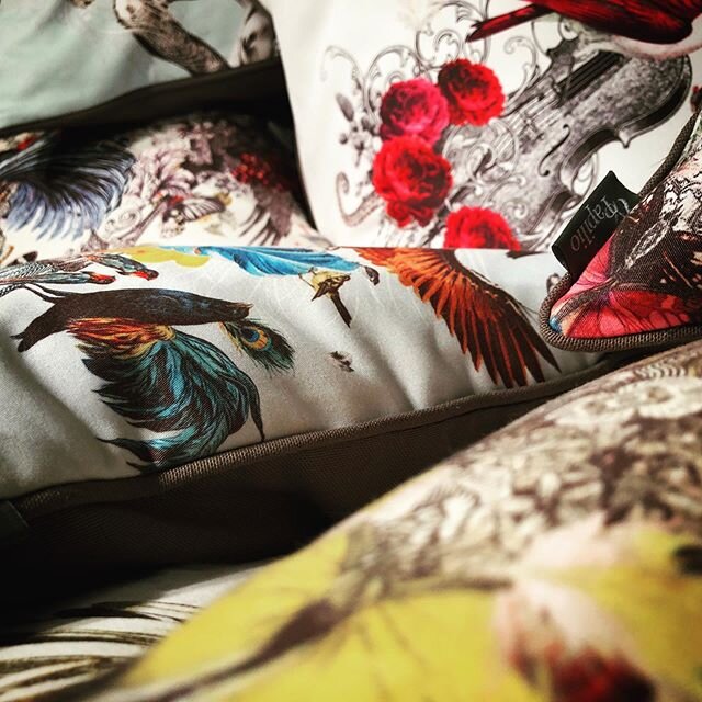 #josephalexandergoode #artistsoninstagram #homedecor #interiordesign #art #catsofinstagram #papiliocushions #papilio