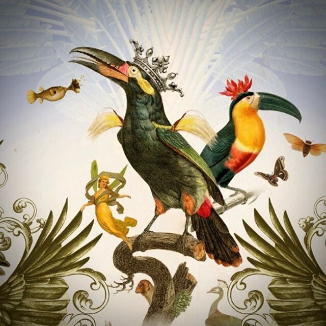 #josephalexandergoode #papiliocushions 
www.josephalexandergoode