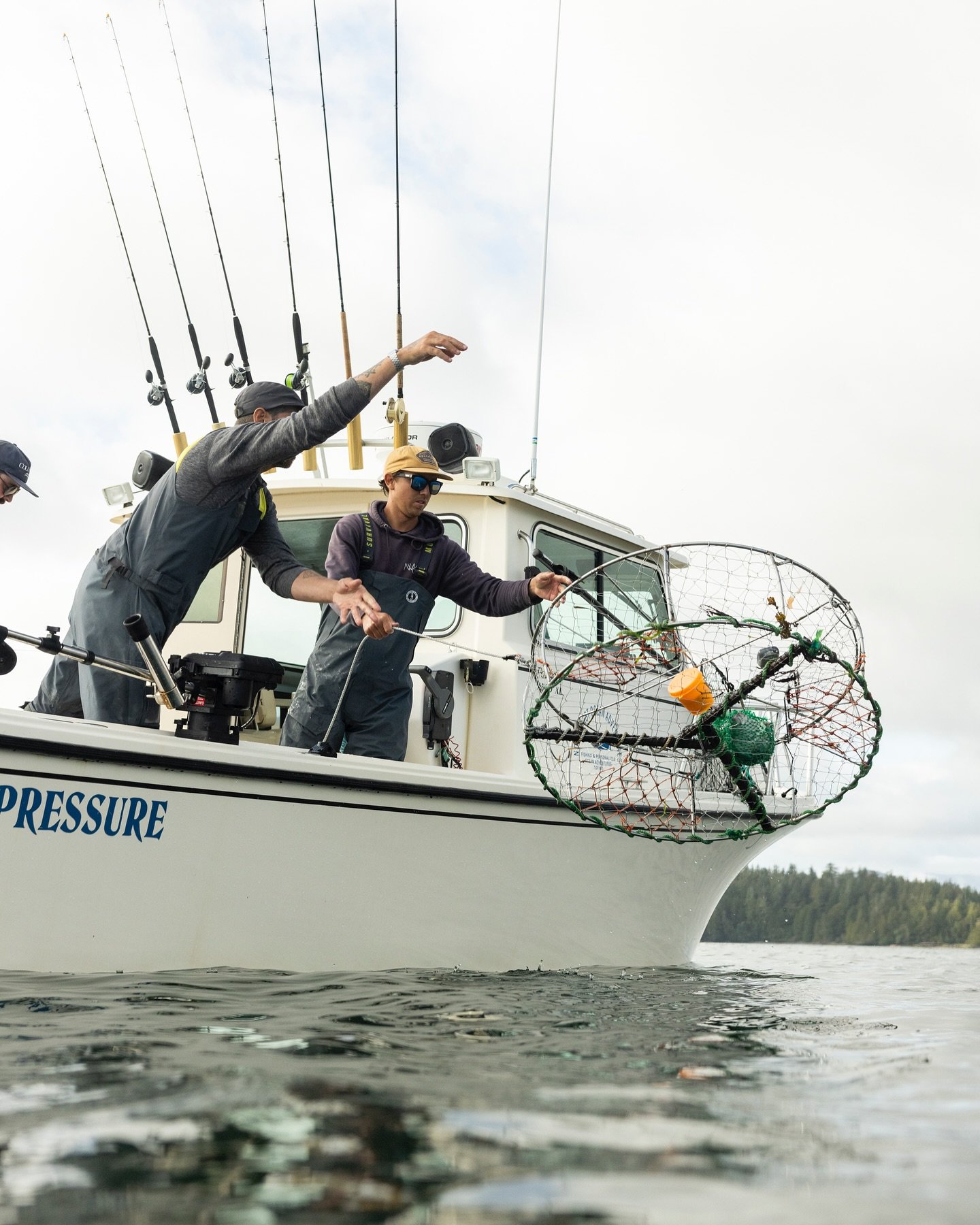 Crabbing is a great addition to any adventure out on the water and we are currently experiencing some amazing crab hauls at the moment! 
Make sure your accommodation has a pot to boil these things up after your trip. 🦀

Photos @kylervos 

#tofino #c