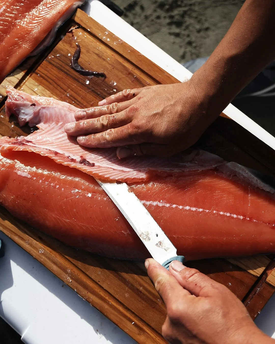 My favourite Benchmades are the 9&rdquo; and 7&rdquo; Fishcrafter blades, I&rsquo;ve had them on the boat for two years now, true daily drivers that see nonstop action. I finally took advantage of Benchmade&rsquo;s LifeSharp guarantee and had them br