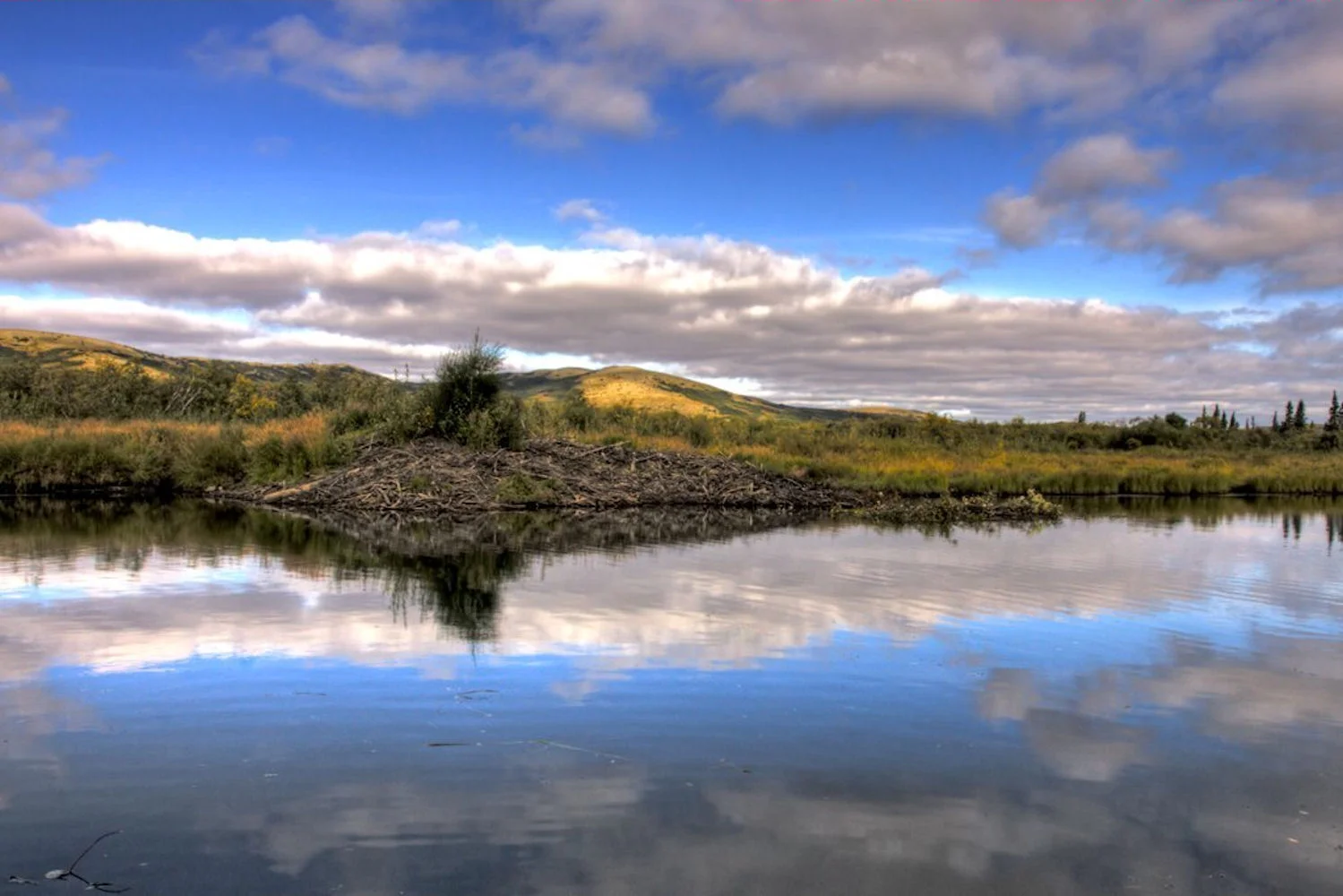Beaver-House.jpg