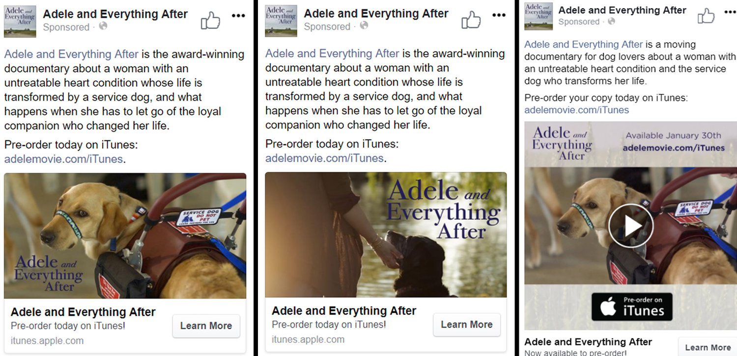 ADELE+-+FB+ad+-+Case+study.jpg
