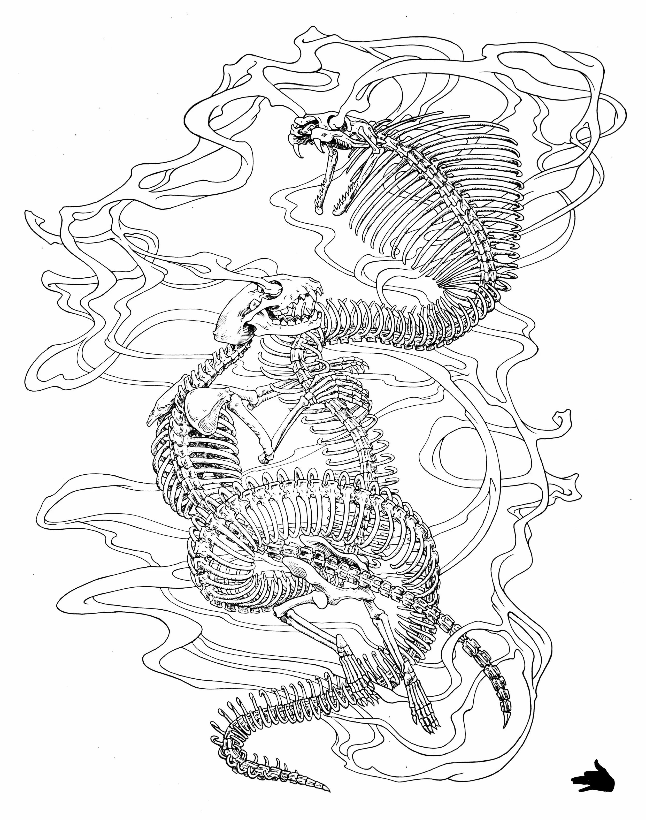 Spinal copyWhite.jpg