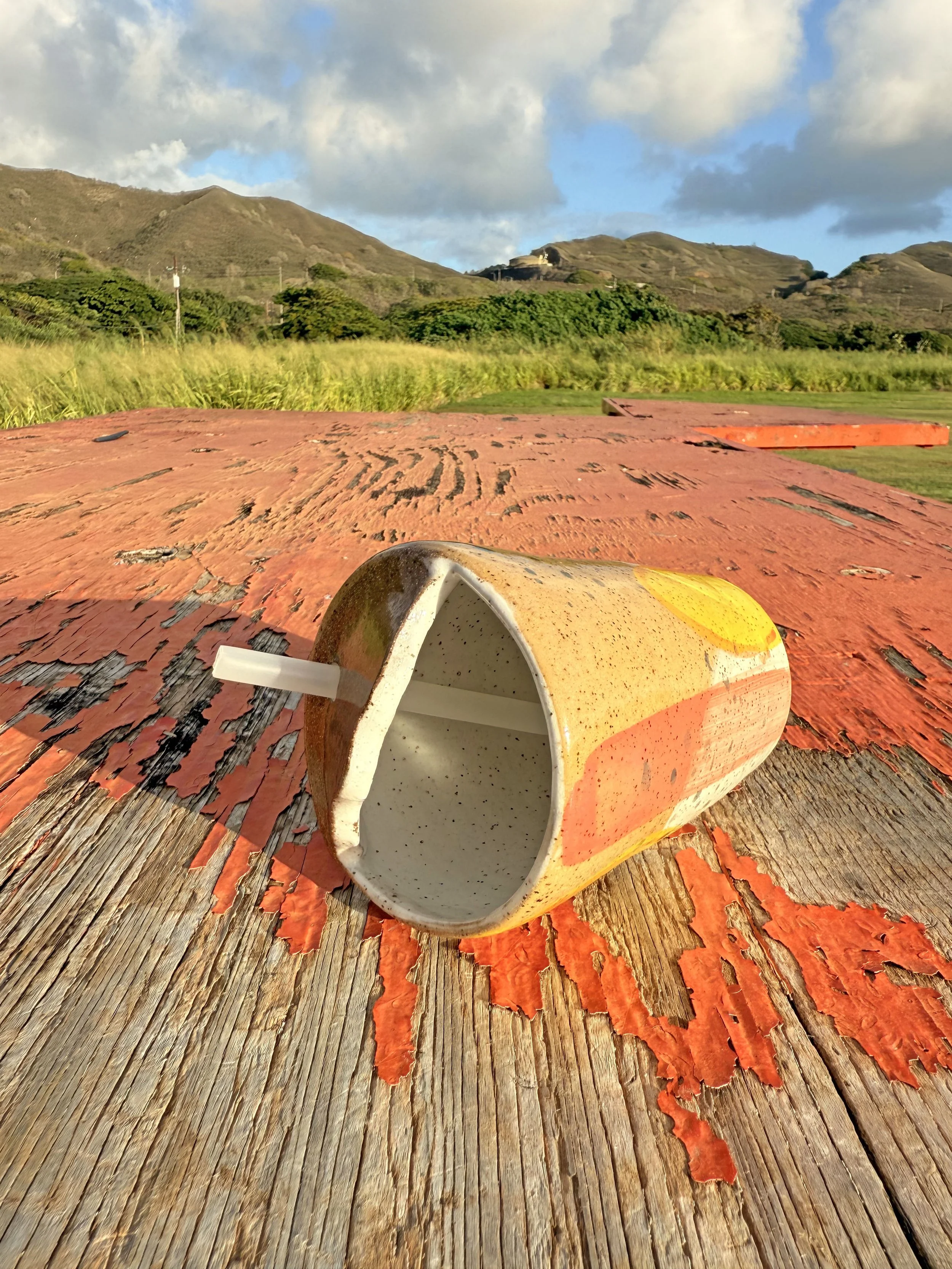 PalmStrawTumbler4.jpg