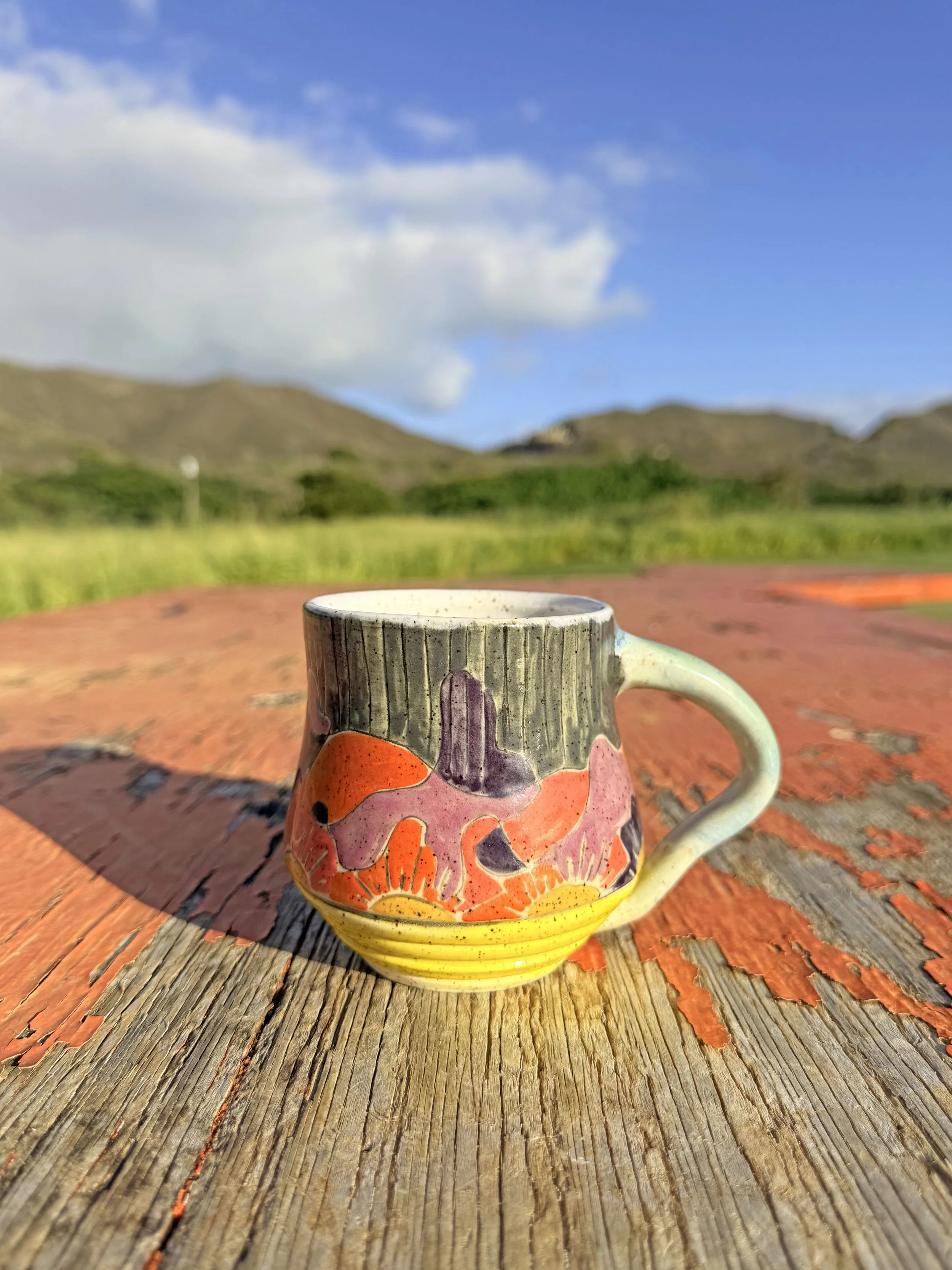 Sun in the Southwest Mug