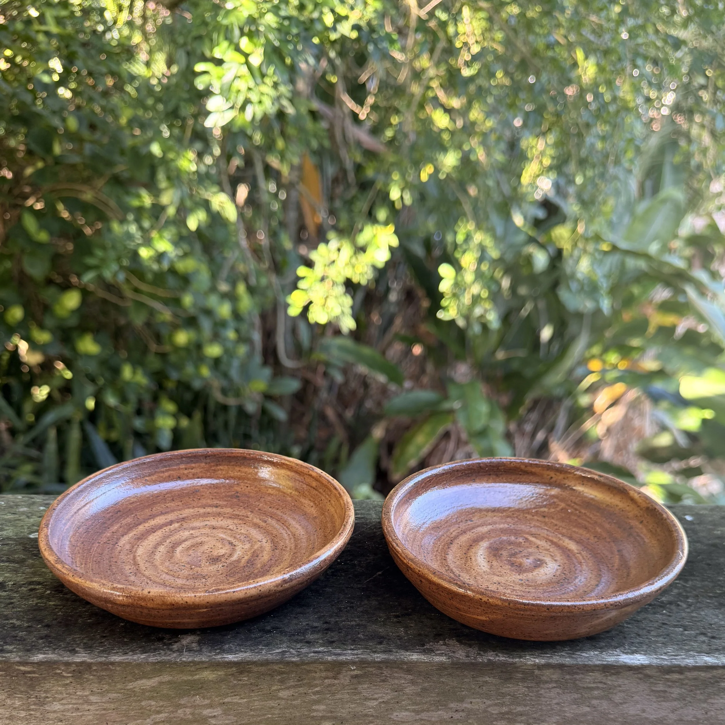 NaturalDish2.jpg
