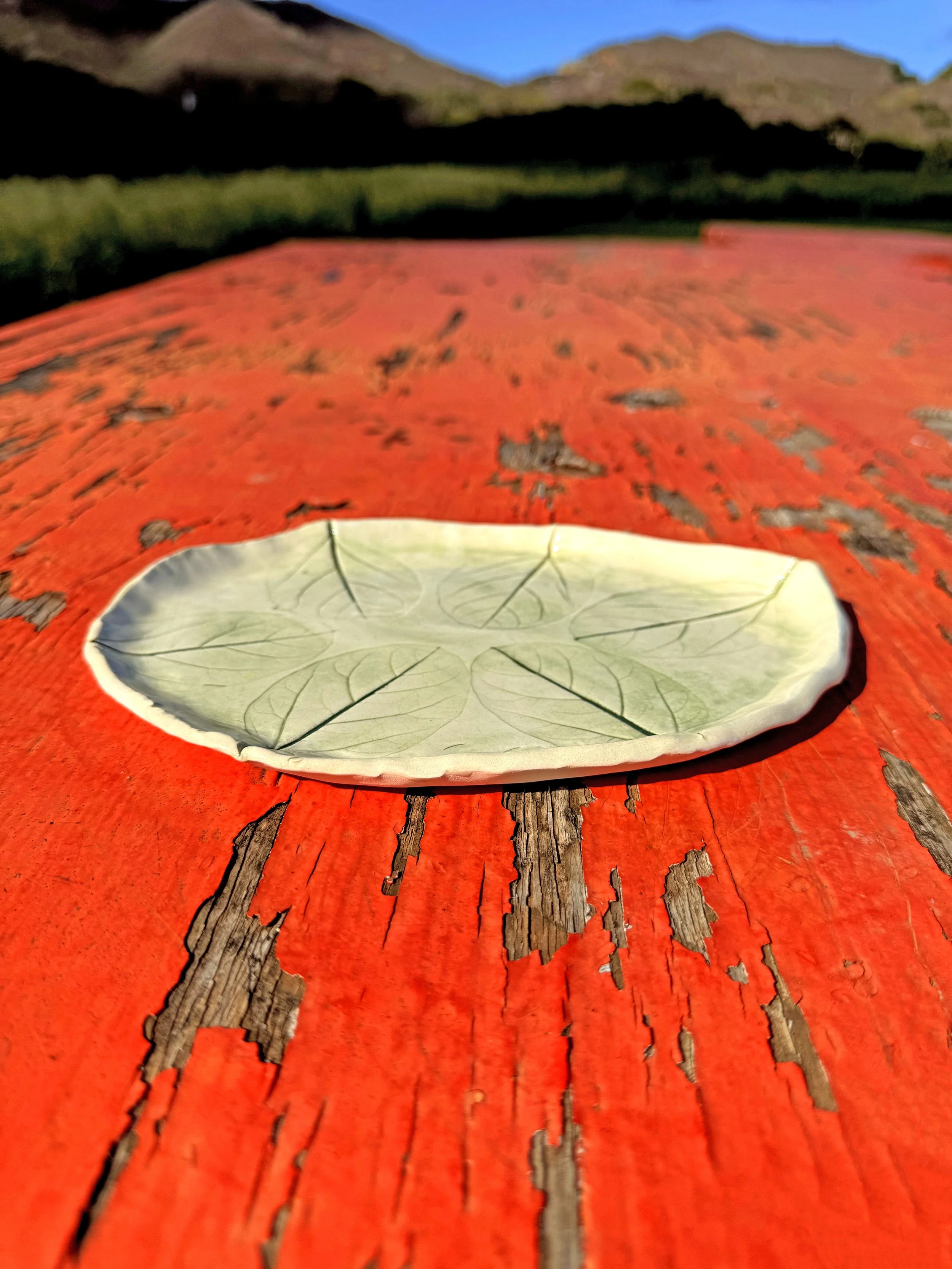 PlumeriaTrinketDish3.jpg
