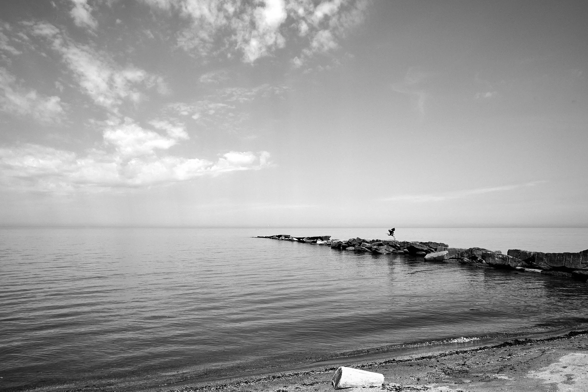 LakeErie 5.jpg