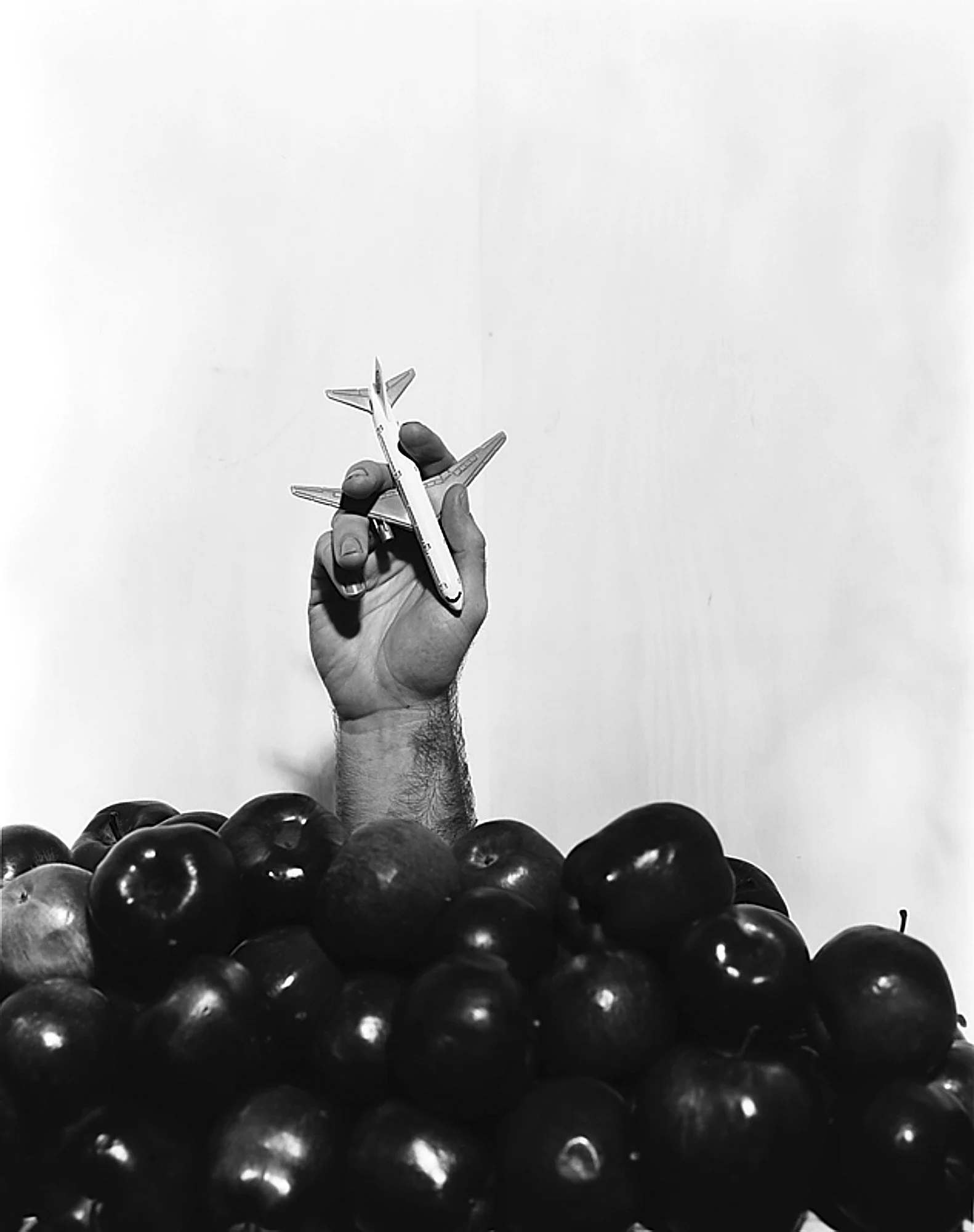 A BUSH-"EL" OF NEWTON'S APPLE