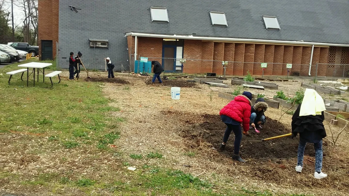 GARDEN PROJECT.jpg