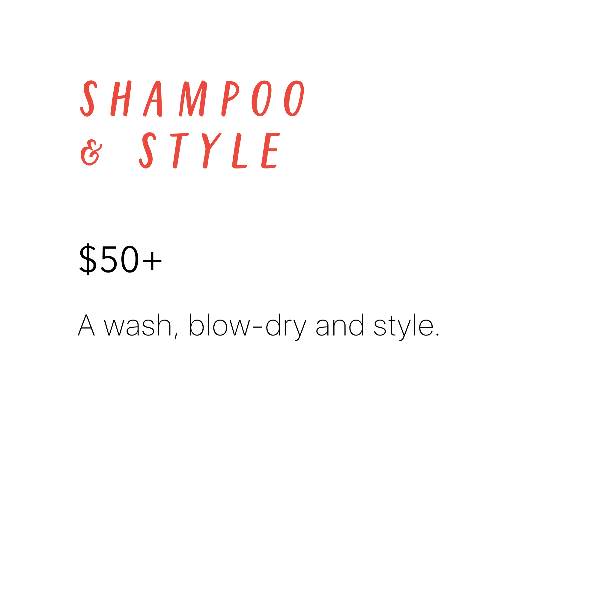 shamp&style.png