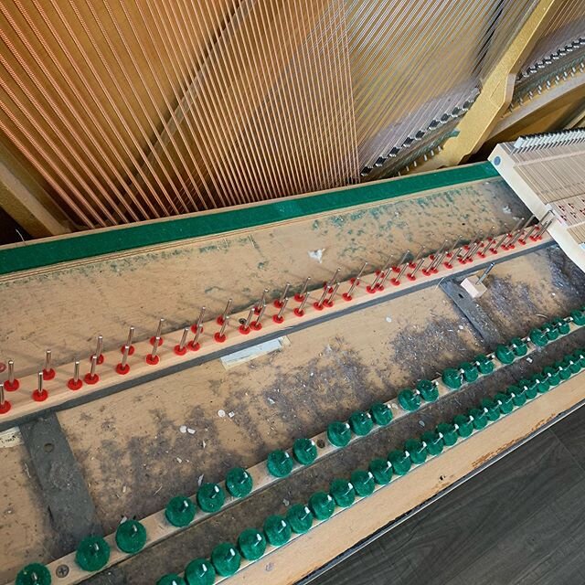 You wouldn&rsquo;t believe how much dust can pile up inside your piano!  Book our tuning and cleaning service online with our very own internationally acclaimed software (PiANOcal). Just $275.  Your piano (and your lungs:-) will thank you!!
#apollopi