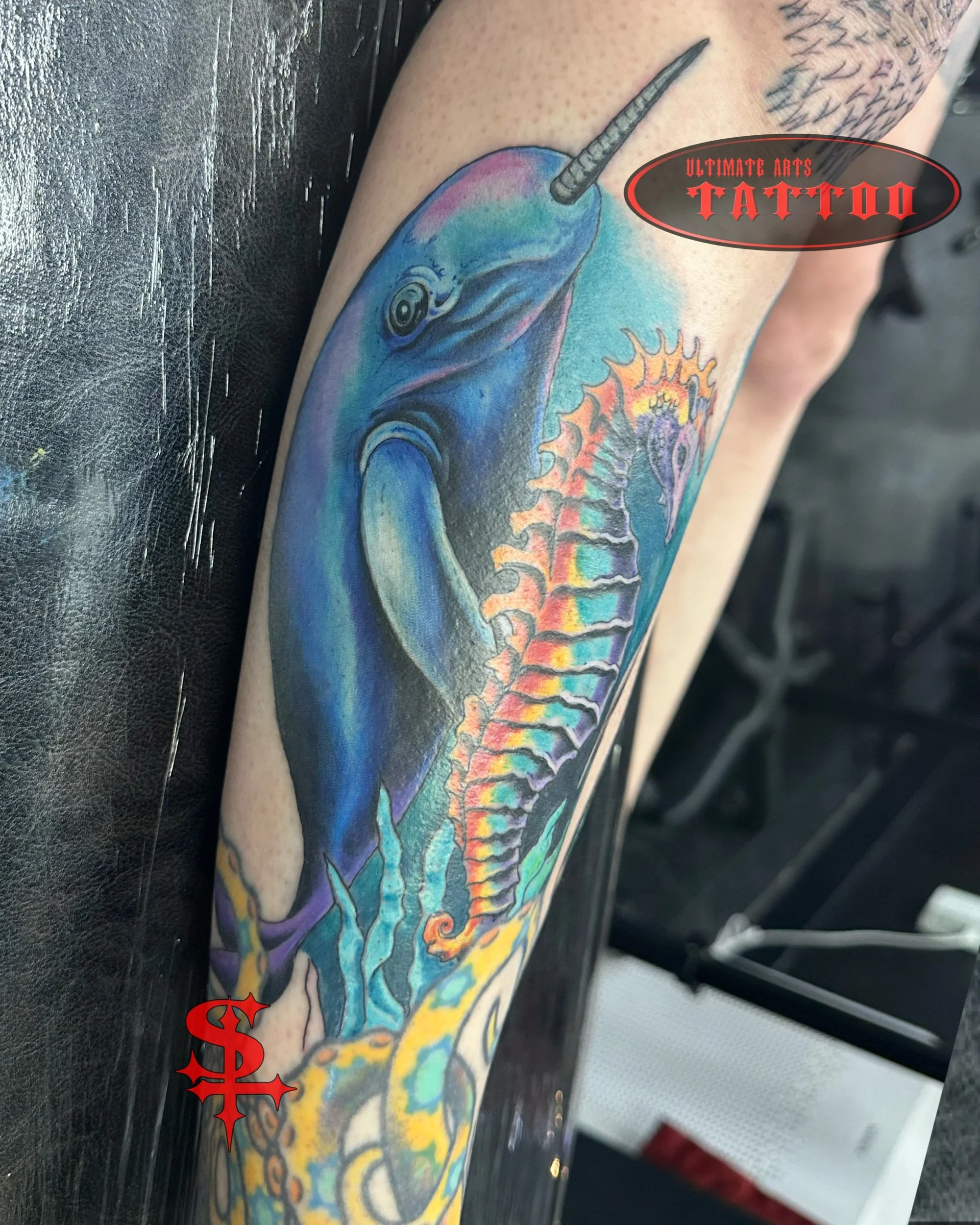Sea’s unicorn