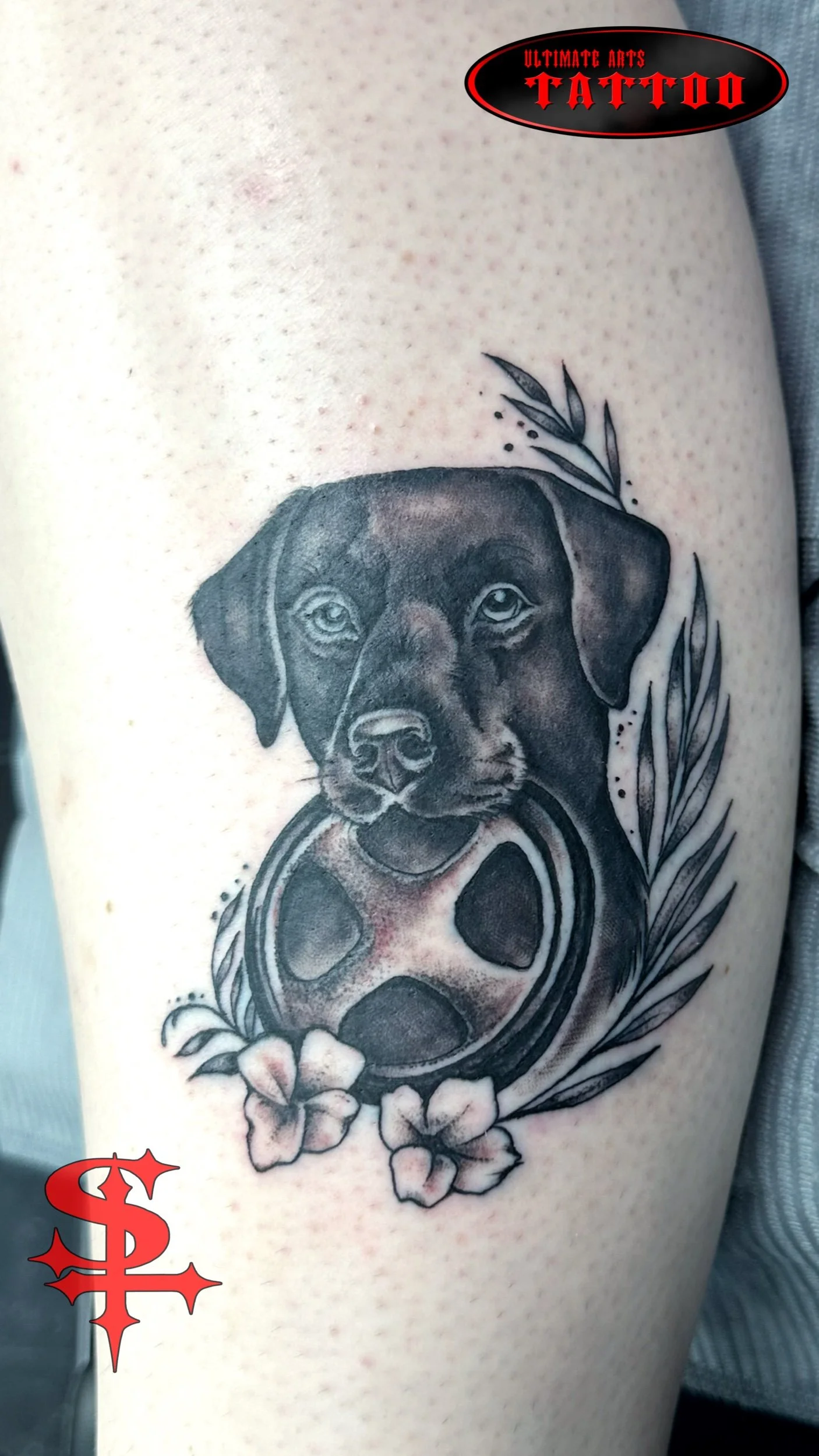 Dog memorial
