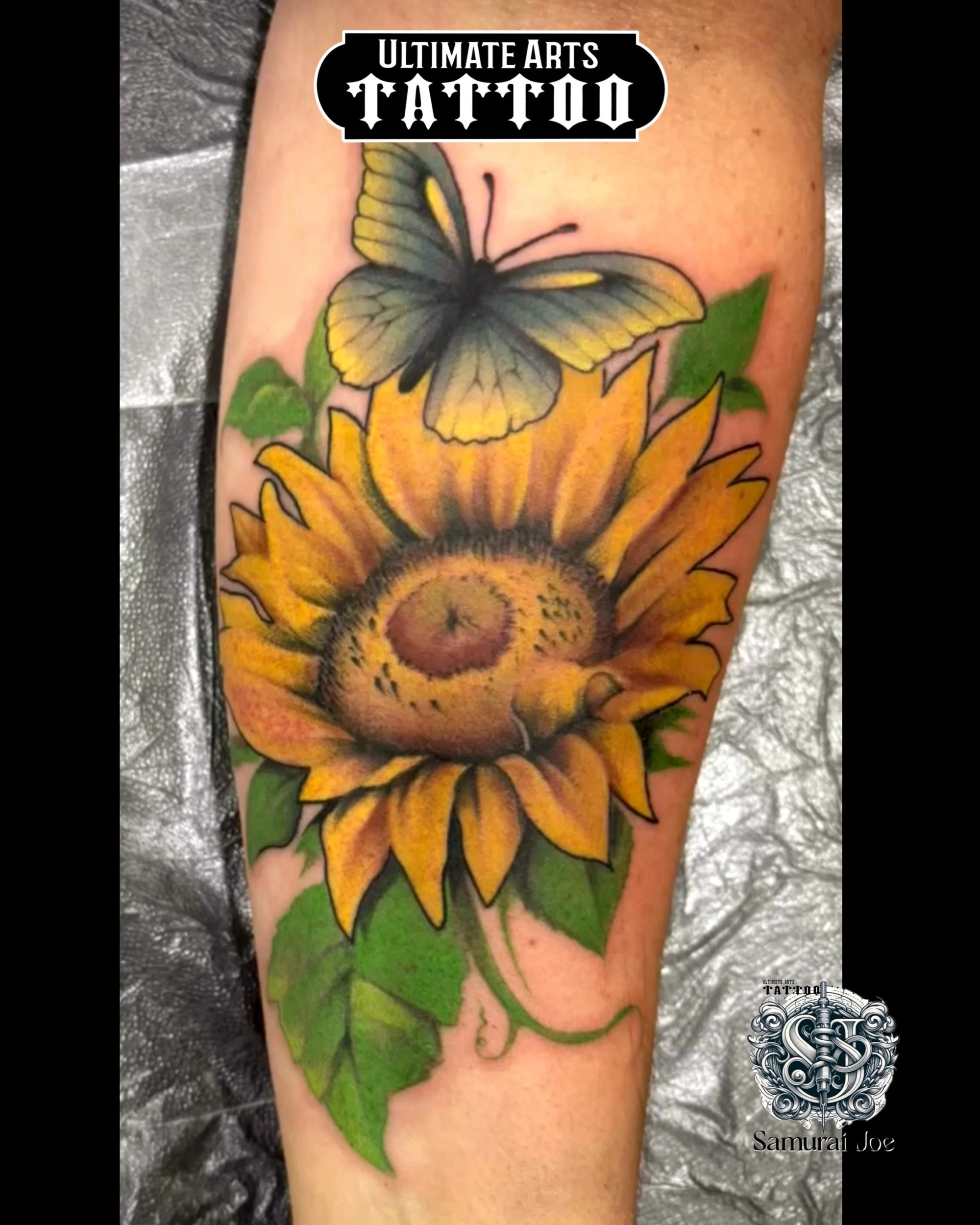 Butterfly on SunFlower