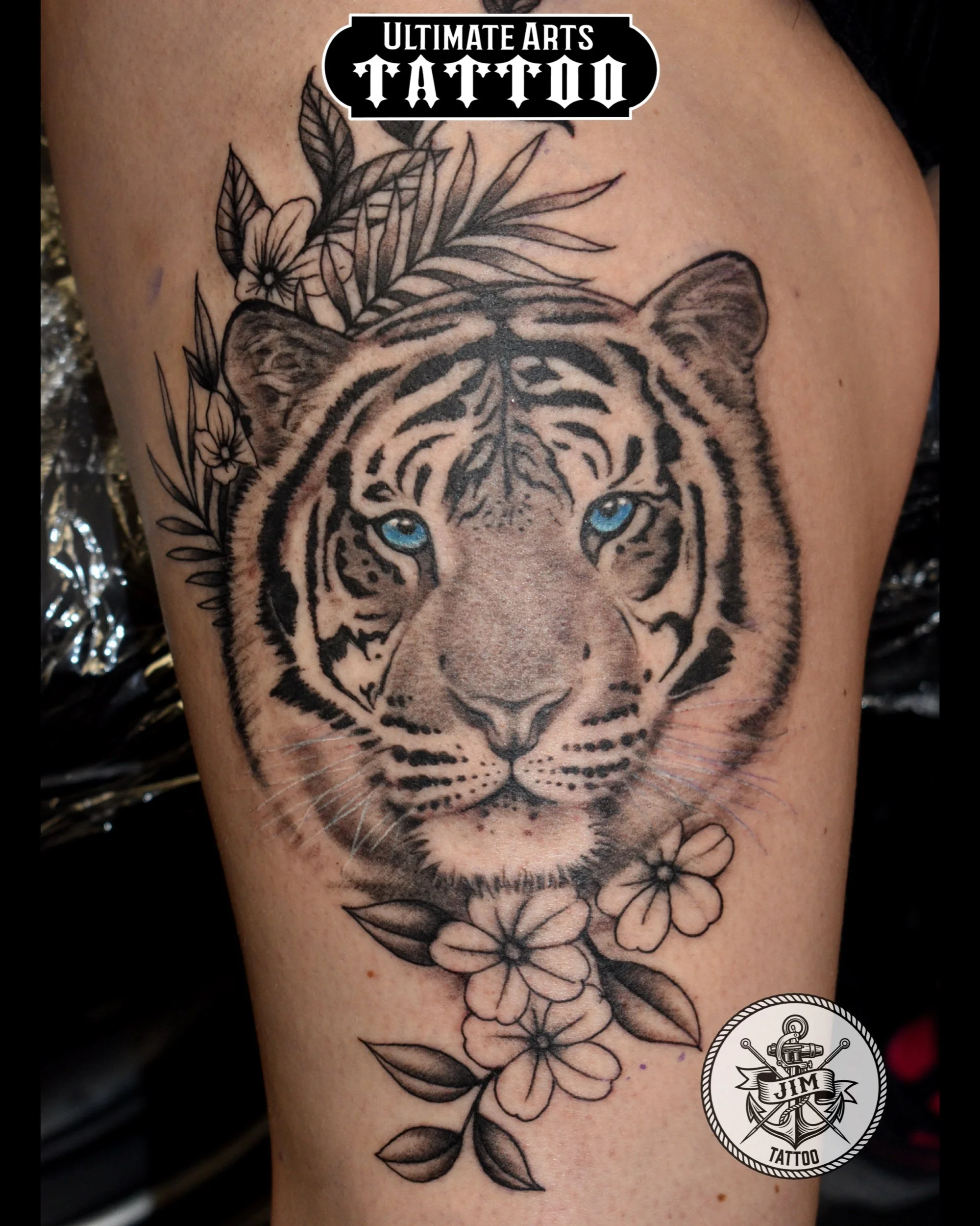 Blue Eyed Murder Kitty Tiger