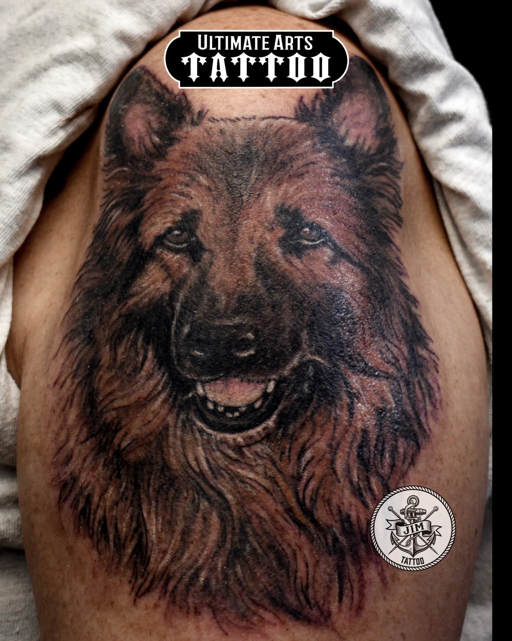 Long Haired Dog Portrait 