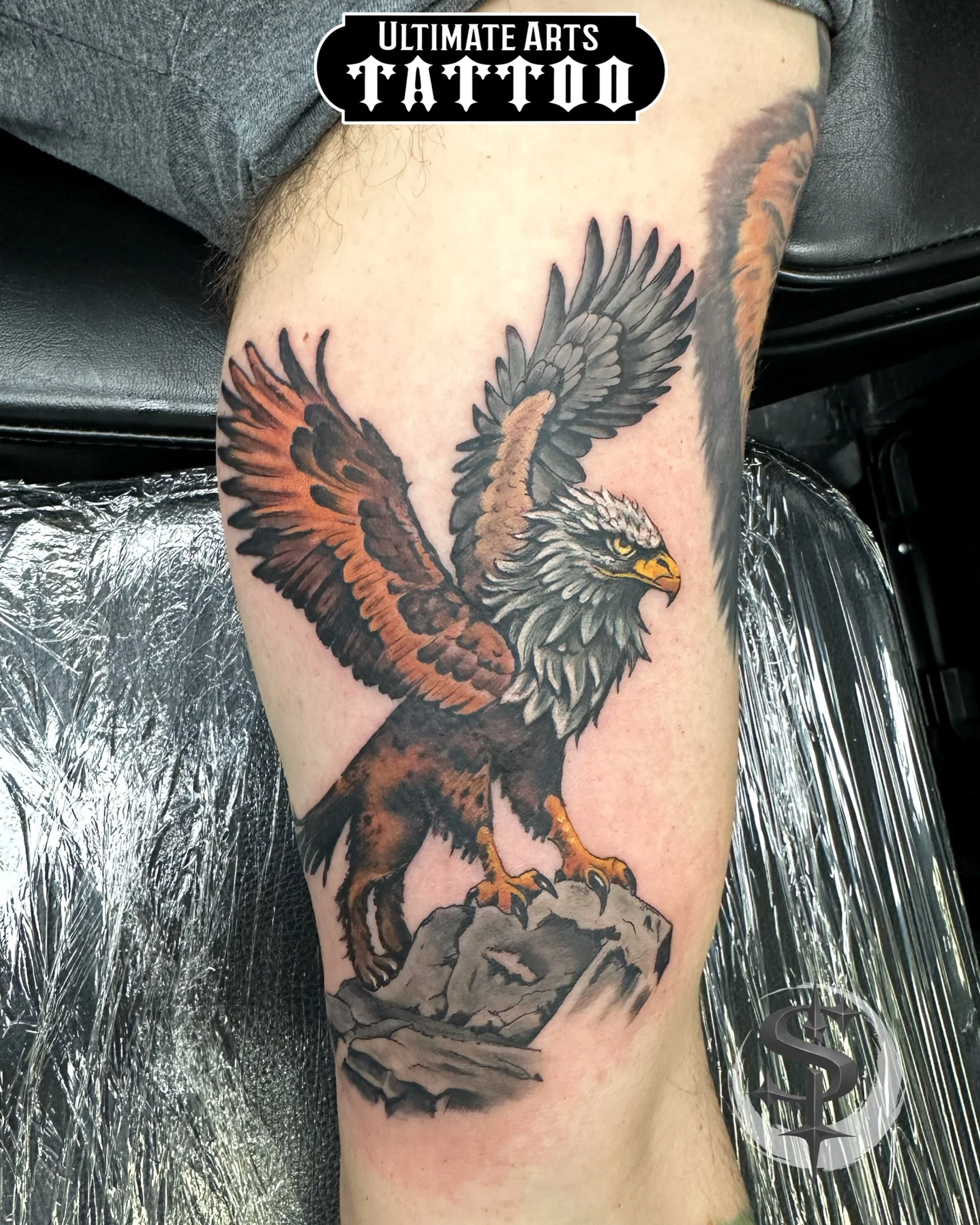 Griffin tattoo by Stripe